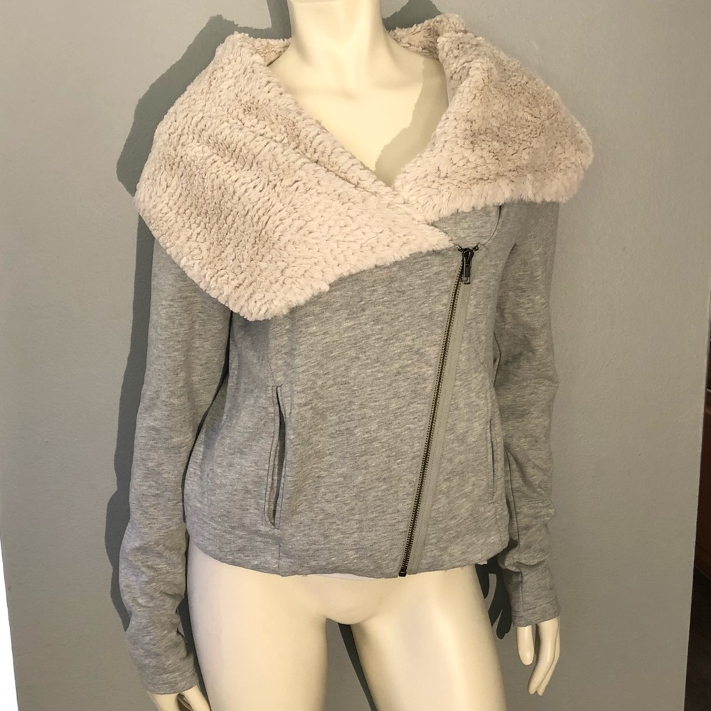 Ann Taylor LOFT Jacket🧥